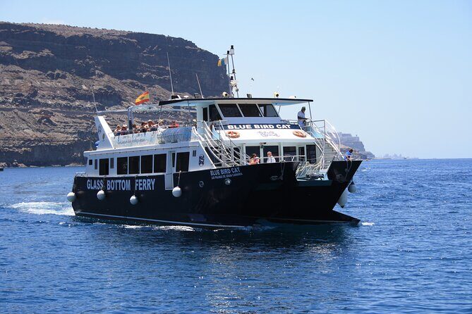 Half-Day Cruise Tour-Dolphin and Whale Watching - The Balance of Pros and Cons