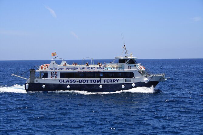 Half-Day Cruise Tour-Dolphin and Whale Watching - Who Will Love This Tour?