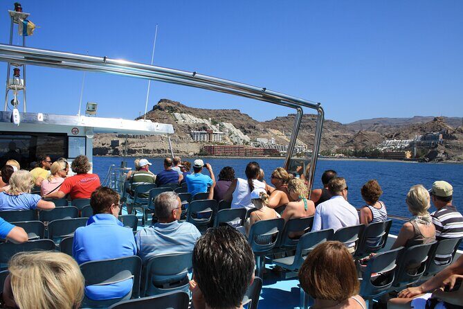 Half-Day Cruise Tour-Dolphin and Whale Watching - FAQs
