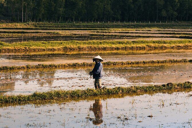 Half Day Cycling in the Hoi An Countryside - Return to Hoi An