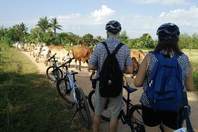 Half Day Cycling Tour to the White temple - FAQ