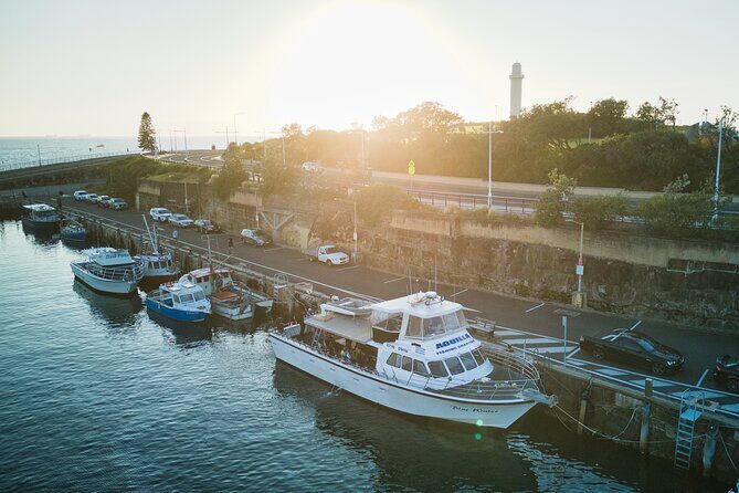 Half-Day Deep Sea Fishing in Wollongong - Weekdays only - The Itinerary: What You Can Expect from This Fishing Trip