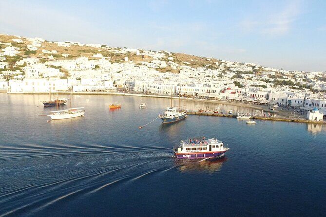 Half Day Delos Tour of Mykonos from the Cruise Ship Port - Final Thoughts