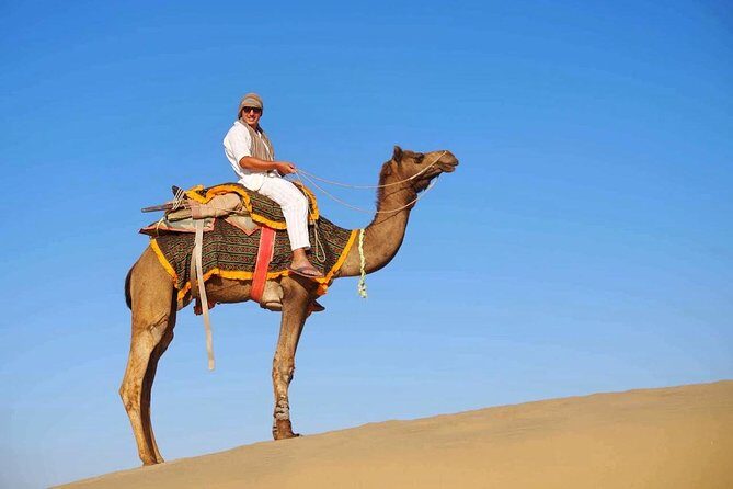 Half Day Desert Safari Jaisalmer - An In-Depth Look at the Jaisalmer Desert Safari