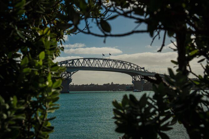 Half-day Discover Auckland City Sightseeing Tour - Key Points