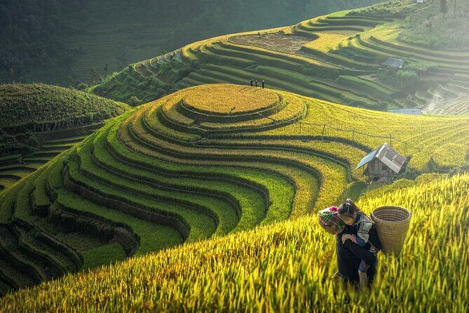 Half Day Doi Suthep & Hmong Hill Tribe - What We Loved About This Tour