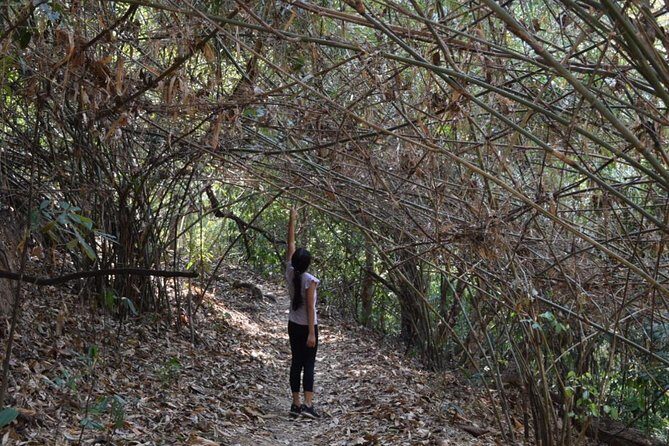 Half Day Doi Suthep Temple and short trekking on monk trail (Private Tour) - Who Is This Tour Best For?