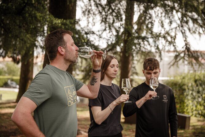 Half-Day E-Bike Tour in Prosecco Hills with Prosecco Tasting - A Detailed Look at the Half-Day E-Bike Tour in Prosecco Hills with Prosecco Tasting