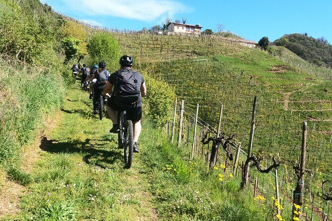 Half-Day E-Bike Tour in Prosecco Hills with Prosecco Tasting - Key Points