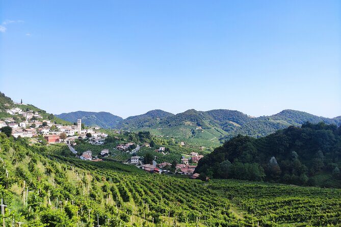 Half-Day E-Bike Tour in Prosecco Hills with Prosecco Tasting - Analyzing the Value