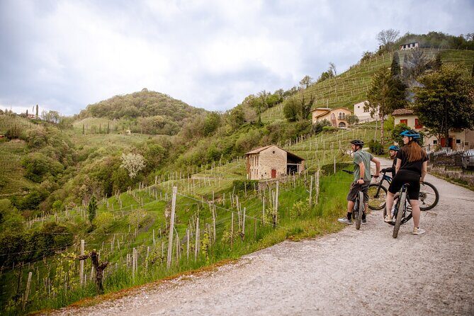 Half-Day E-Bike Tour in Prosecco Hills with Prosecco Tasting - Who Will Love This Tour?