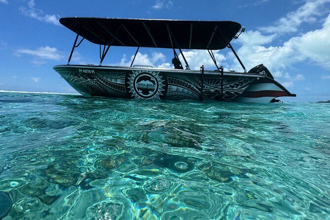 Half day Eco Snorkeling small group Tour in Bora Bora - What’s Included and How It Works