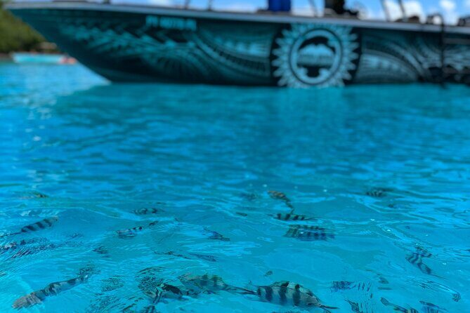 Half day Eco Snorkeling small group Tour in Bora Bora - Practical Details: What You Need to Know