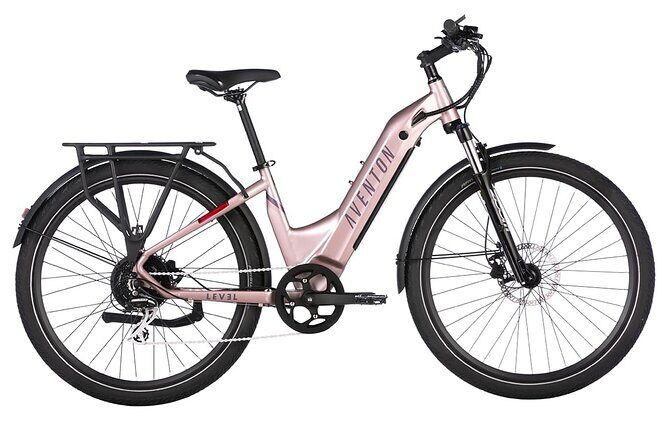 Half Day Electric Bike Rental on the Pinellas Trail - Authentic Insights from Riders