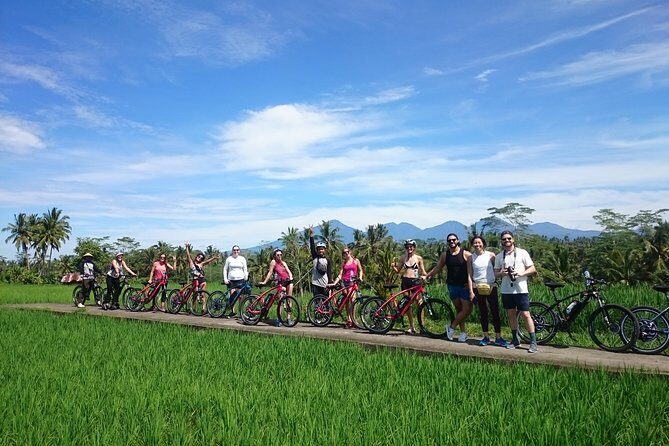 Half-Day Electric Cycling Tour of Ubud - Key Points