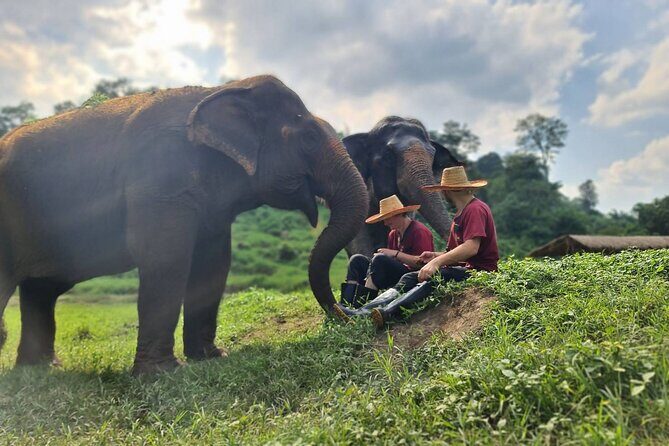 Half-Day Elephant Experience at Rantong - Practical Considerations