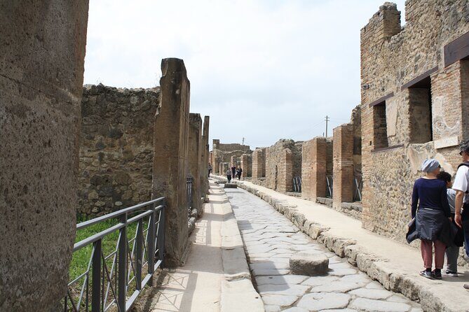 Half-Day Exclusive Private Tour of Pompeii and Herculaneum - Authentic Insights from Travelers