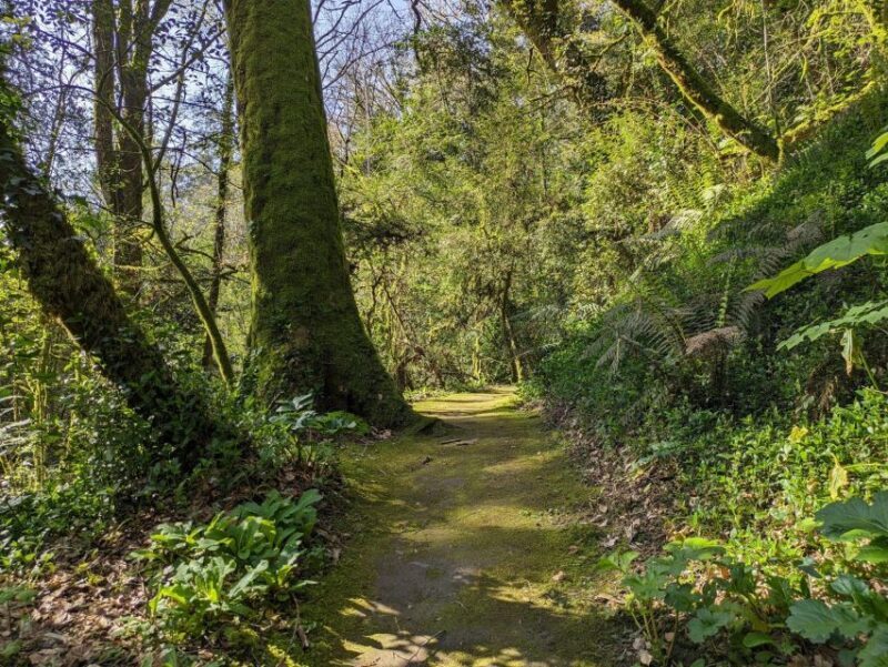 Half-day excursion around Santiago - Final Thoughts: Who Is This Tour Best Suited For?