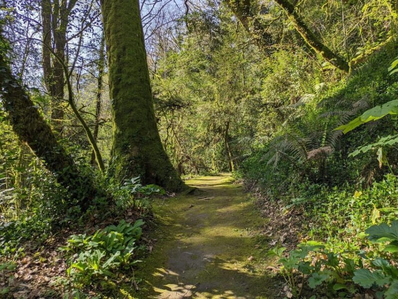 Half-day excursion around Santiago - Frequently Asked Questions