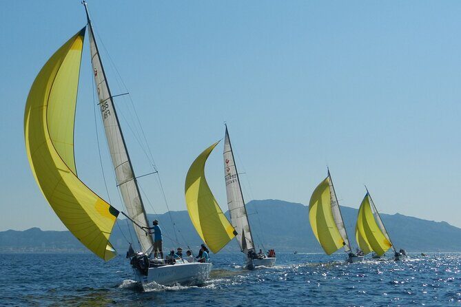 Half-day excursion in the Calanques of Frioul - An In-depth Look at the Experience