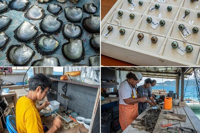 Half day excursion Tahaa - departure Raiatea / ideal cruise line - Key Points