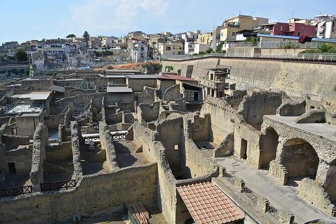 Half Day Excursion to Herculaneum from Naples with Lunch - Analyzing the Value: Price and What You Get
