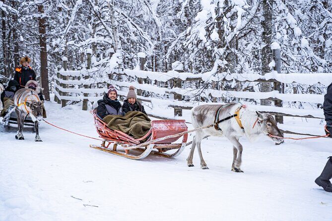 Half-Day Experience in Local reindeer farm in Lapland - Price & Value Analysis