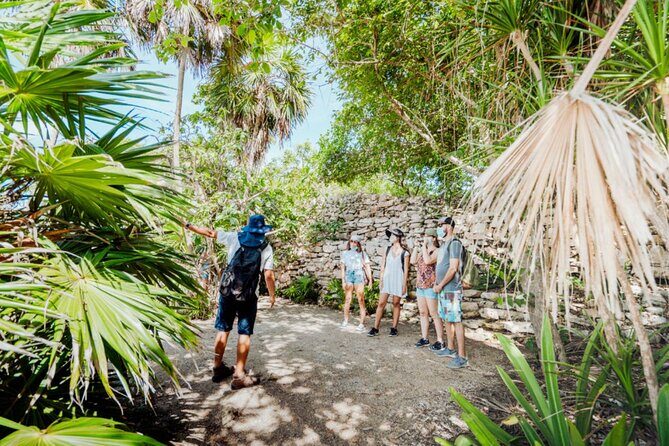 Half-Day Explore Tour of Tulum, Gran Cenote with Local Tacos - An In-Depth Look at the Tour Experience