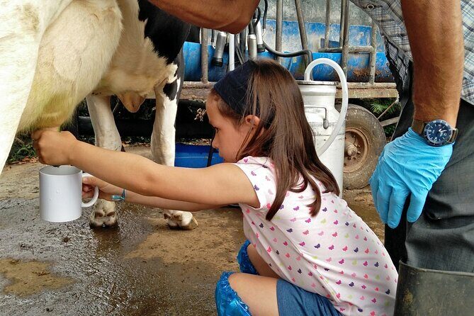 Half-Day Farm Visit and Cow Milking Experience - What to Expect from the Half-Day Farm Visit and Cow Milking Tour