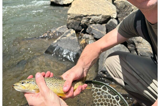 Half Day Fly Fishing Lesson on Clear Creek near Denver - An In-Depth Look at the Fly Fishing Experience