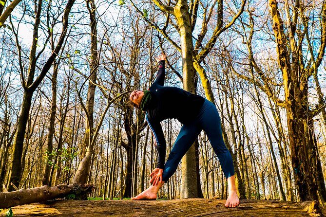 Half-day Forest Bathing and Yoga in Brighton's Woodlands - Who Will Love This Tour?
