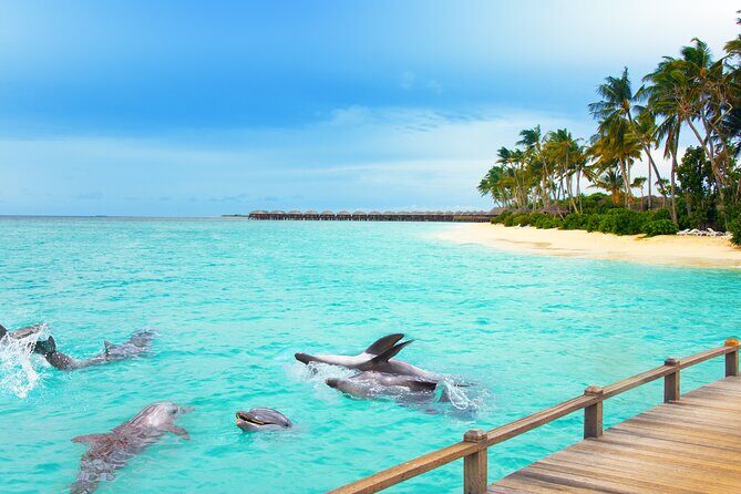 Half-Day Fun Adventure Private Tour in Male - Key Points