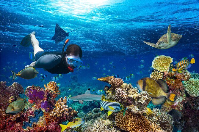 Half-Day Fun Adventure Private Tour in Male - Final Thoughts