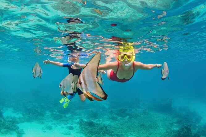 Half-Day Fun Adventure Private Tour in Male - FAQ