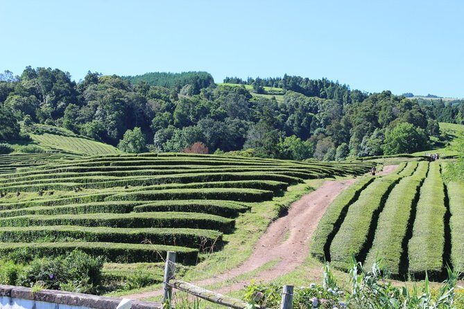 Half Day Furnas And Hot Springs - FAQ