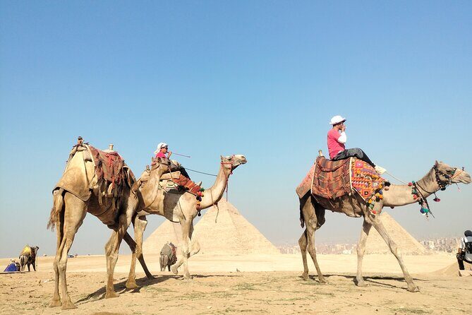 Half day Giza pyramids and Sphinx tour with an Egyptologist - The Experience: Comfort, Timing, and Photography