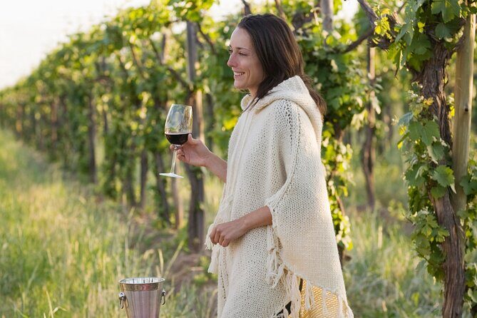 Half-Day Gramma Wine Tasting Tour in Iasi - An In-Depth Look at the Tour Experience