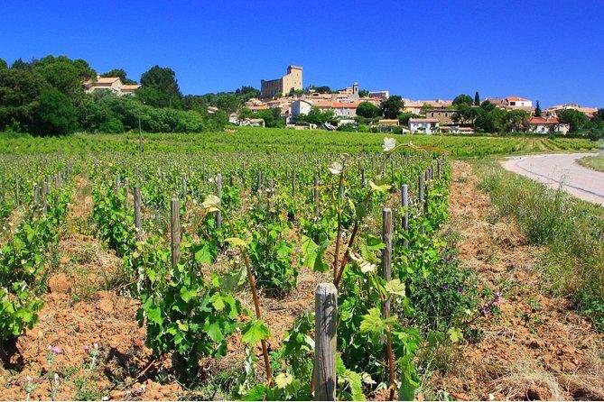 Half Day Great Vineyard Tour from Avignon - Final Summary