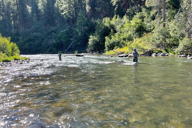 Half Day Guide Trip - Detailed Review of the Lake Tahoe Half Day Fly Fishing Tour