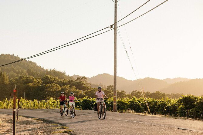 Half Day Guided Electric Bike Wine Tasting Tour with Lunch - An In-Depth Look at the Experience