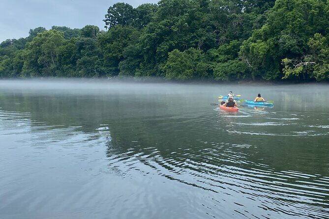Half-Day Guided Kayaking in the Smoky Mountains of Tallassee - Analyzing the Experience