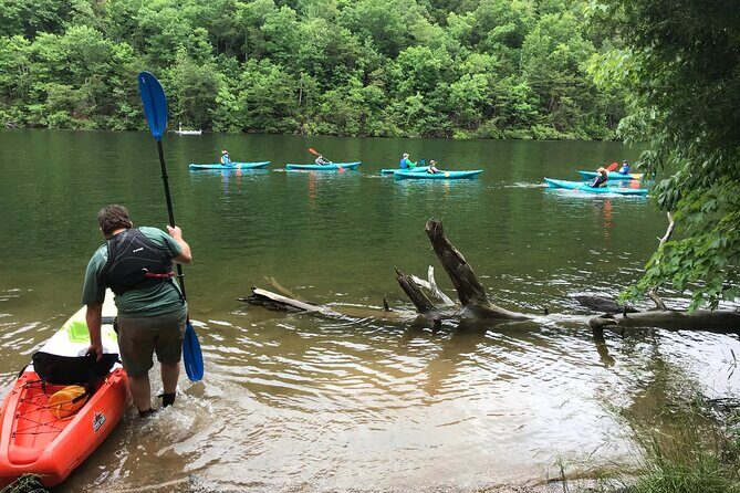 Half-Day Guided Kayaking in the Smoky Mountains of Tallassee - Who Should Consider This Tour?