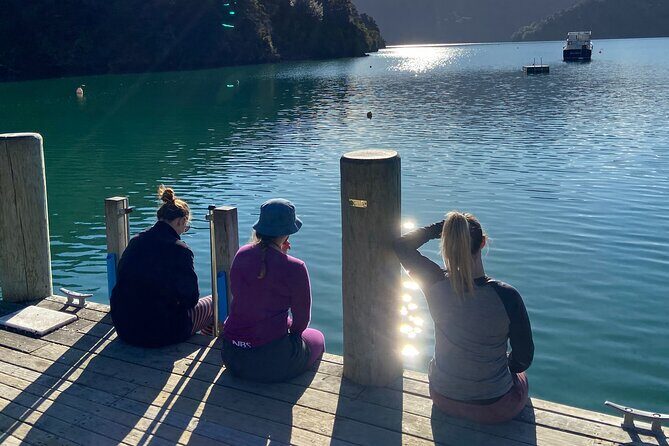 Half-Day Guided Sea Kayak Trip from Picton - An In-Depth Look at the Experience