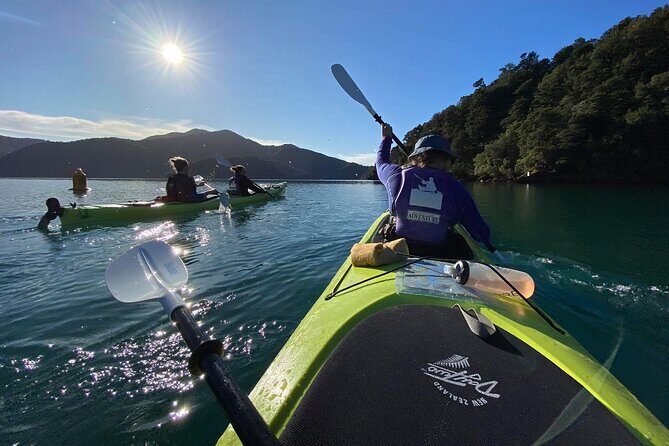 Half-Day Guided Sea Kayak Trip from Picton - FAQs