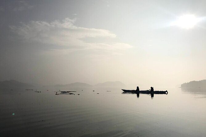 Half-Day Guided Sea Kayaking Adventure in Telegraph Cove - The Value Proposition