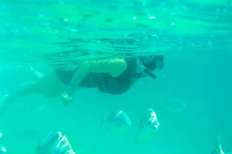 Half Day Guided Snorkel Tour in Los Cabos - Starting the Adventure: Pickup and Transportation