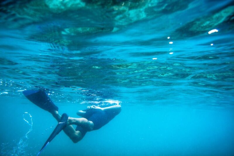 Half Day Guided Snorkel Tour in Los Cabos - Scenic Drive and Views on the Way