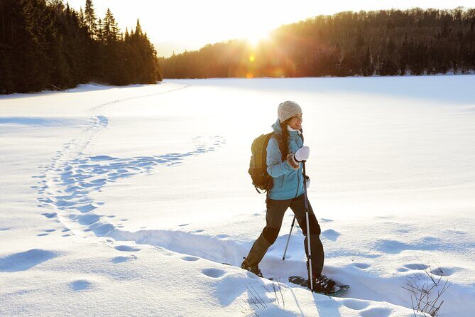 Half Day Guided Snowshoe Tour Near Breckenridge - Exploring the Half Day Guided Snowshoe Tour Near Breckenridge: An Authentic Colorado Winter Experience
