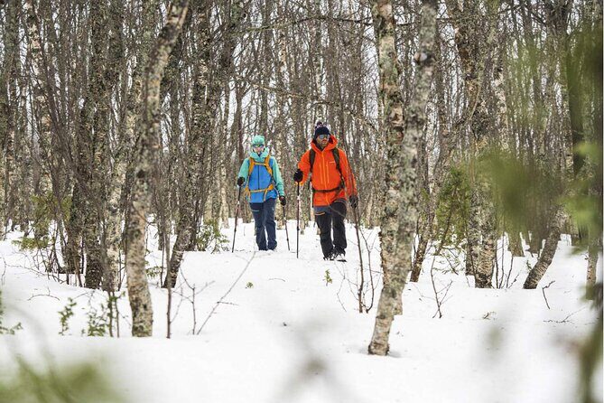 Half Day Guided Snowshoe Tour Near Breckenridge - Guides and Their Expertise