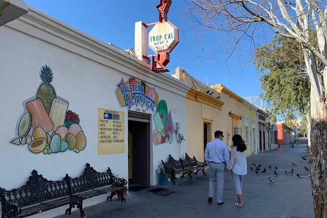 Half-Day Guided Tour at Los Cabos: San José & Cabo San Lucas - Final Thoughts: The Bottom Line
